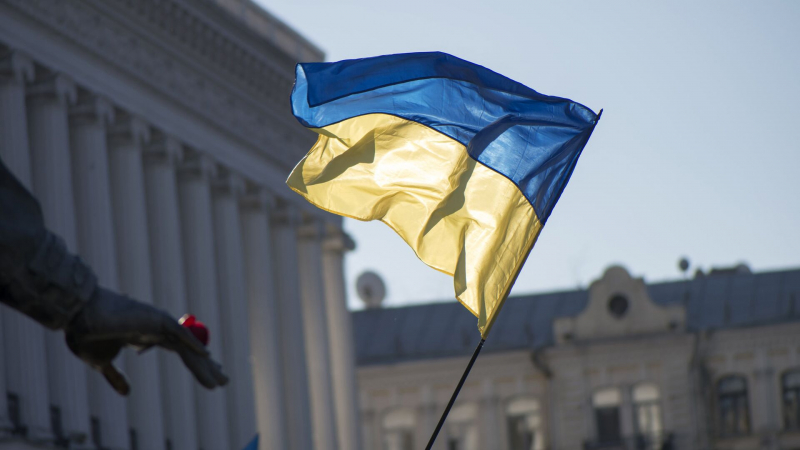 В украинских военкоматах забивают до смерти призывников, заявили в Раде