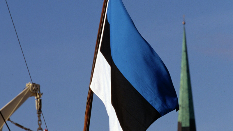 Почти 70% граждан Эстонии недовольны работой правительства, показал опрос