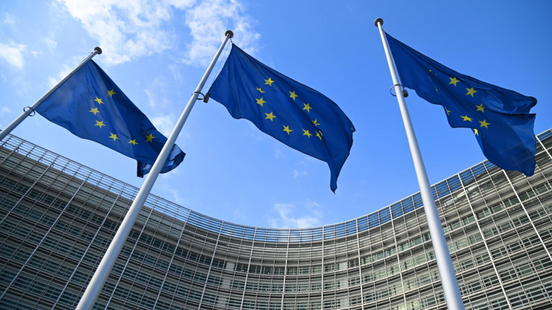Жданова: конструктивное развитие событий на Украине раздражает ЕС
